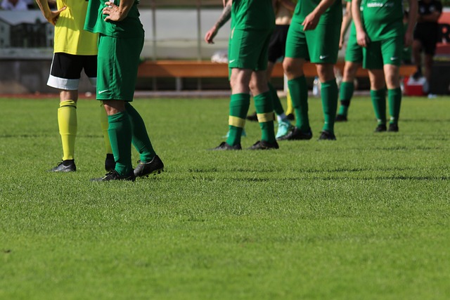 上港不仅展 上港不仅展