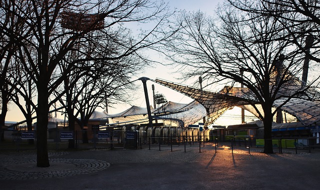 与男子拳击 与男子拳击