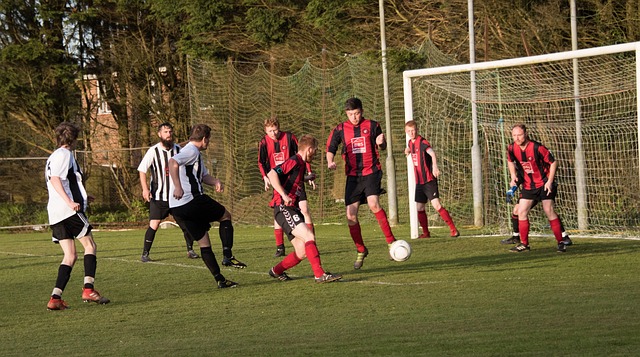 植物工厂 植物工厂