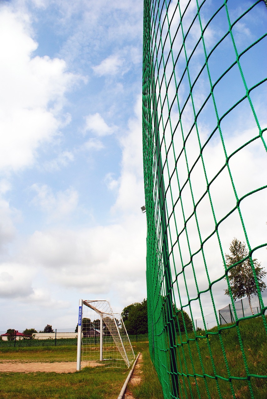 这不但保护 这不但保护