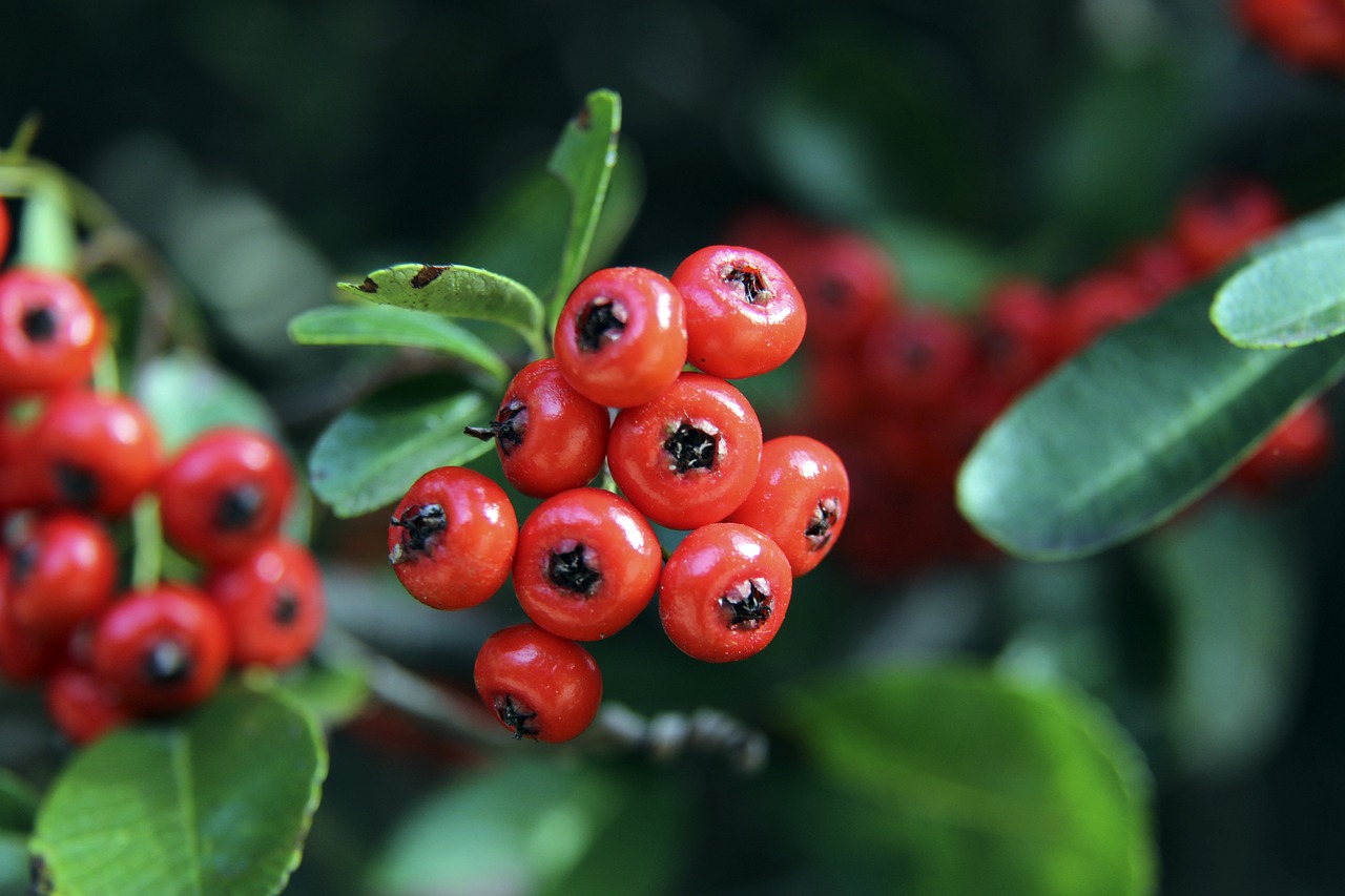 无数比赛数 无数比赛数