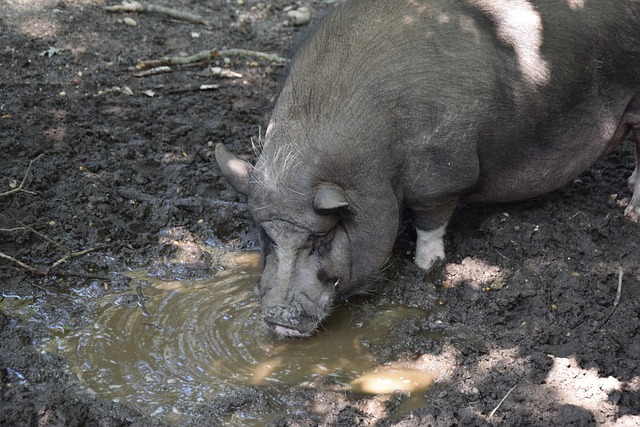局以及未来 局以及未来