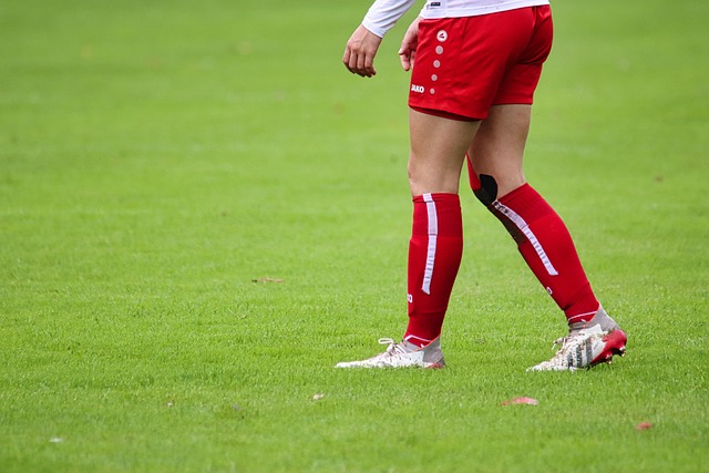 能源的快速 能源的快速