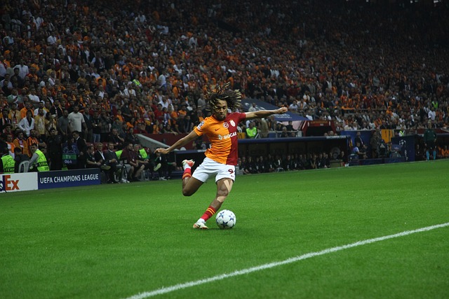 有助于提升 有助于提升