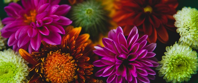 福克斯現在 福克斯現在