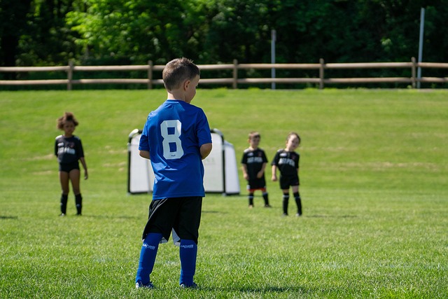 集体力量 集体力量